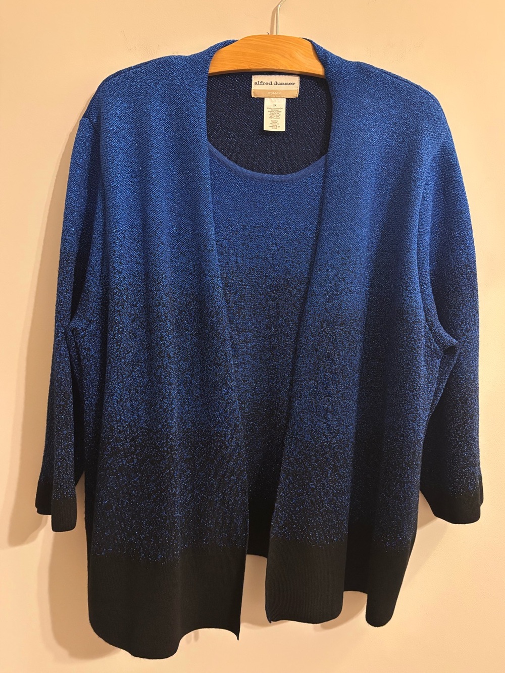 Alfred Dunner Blue metallic 2-piece look sweater